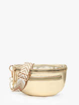 Heuptasje Miniprix Goud sangle R1926