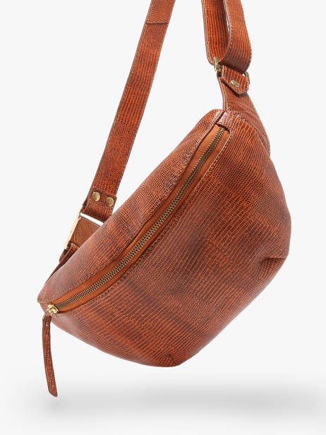 Heuptasje Paul marius Bruin la suite 1960 BANAN960 ander zicht 2