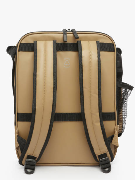 Business Rugzak Delsey Beige maubert 2.0 3813640W ander zicht 5