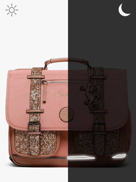 Boekentas Kinderen 3 Compartimenten Cameleon Roze vintage fantasy CA41 ander zicht 7