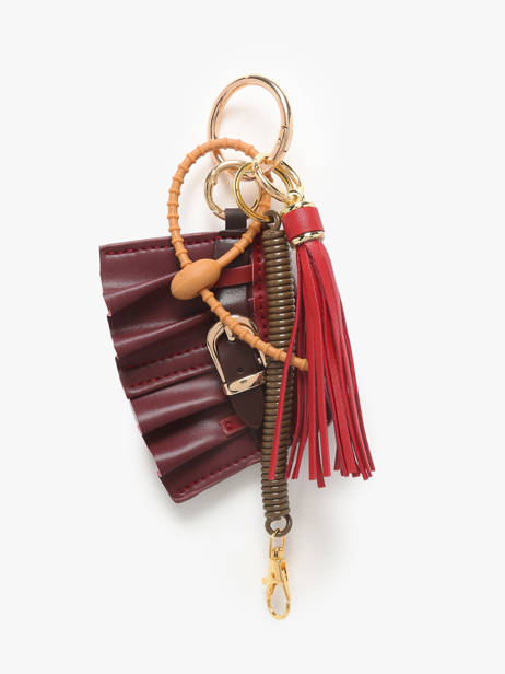 Tashengsel Miniprix Rood access YYDK2249