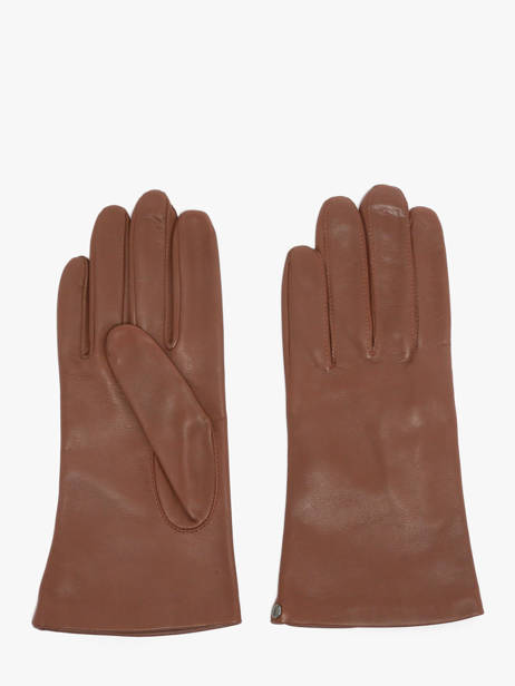 Handschoenen Isotoner Bruin women gloves 68285
